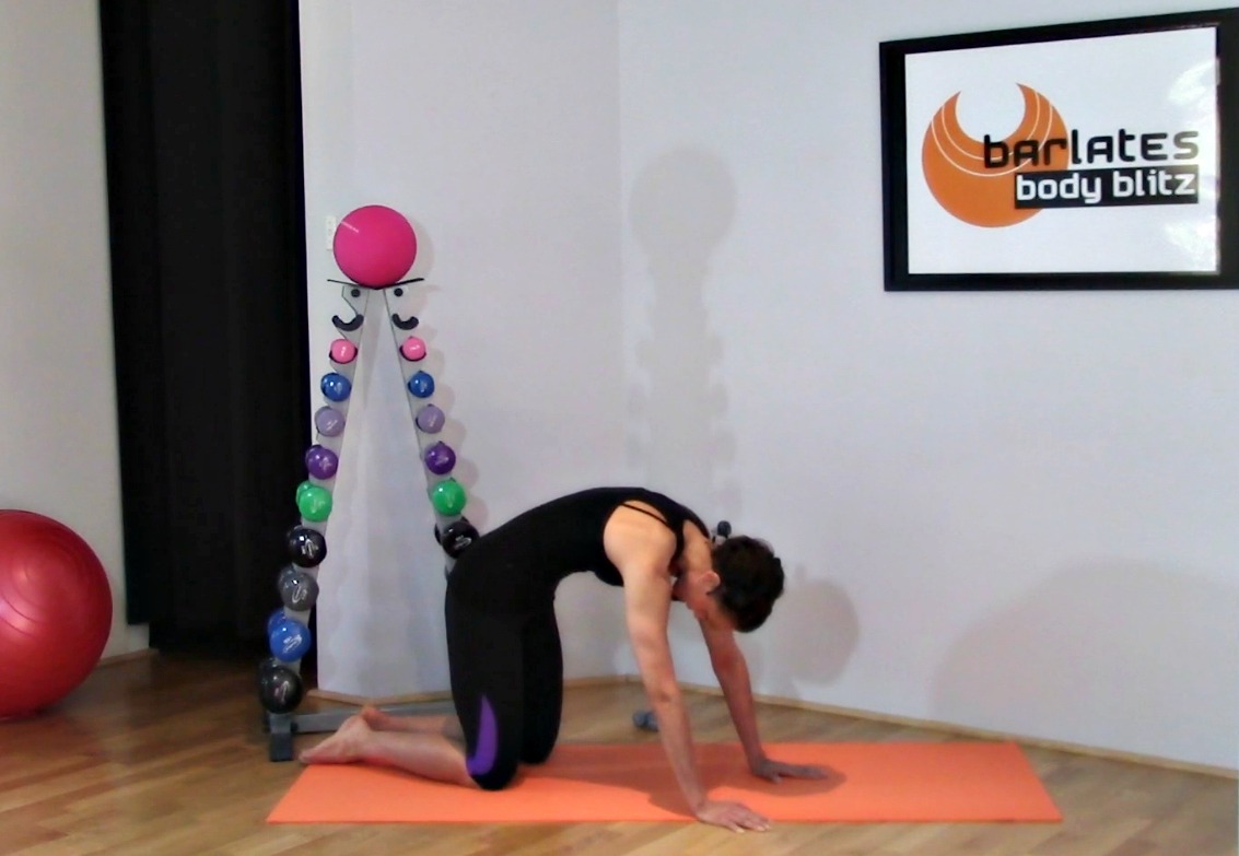 Barlates Body Blitz Bounce Series 4 Workout Rebounder DVD: :  Movies & TV Shows