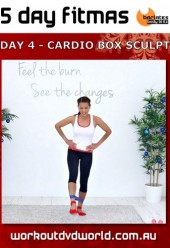 5 Day FITMAS Day 4 Cardio Box Sculpt DVD