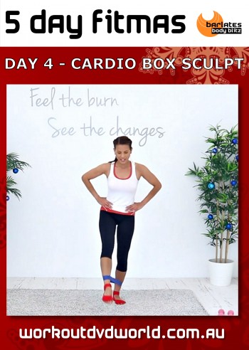 5 Day FITMAS Day 4 Cardio Box Sculpt DVD