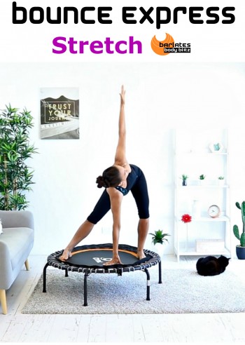 Bounce Express Stretch Download