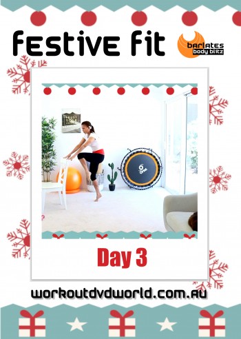 FESTIVE FIT Day 3 DVD