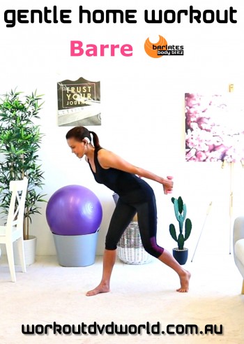 Gentle Home Workout Barre DVD