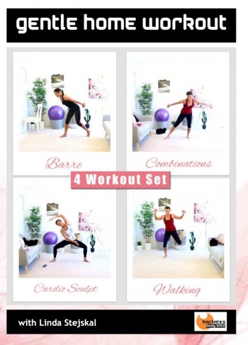 Gentle Home Workout Series 4 Downloads