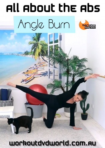 All About the Abs Angle Burn DVD