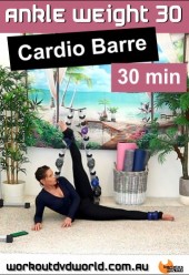 Ankle Weight 30 Cardio Barre Download